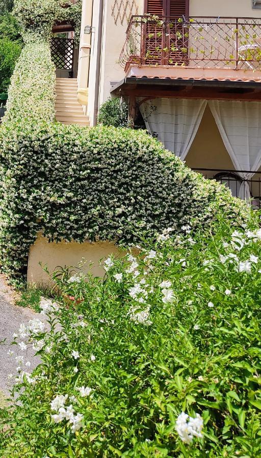 La Bouganville E Il Gelsomino ピエトラサンタ エクステリア 写真